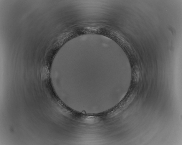 X0000112420467200909111014