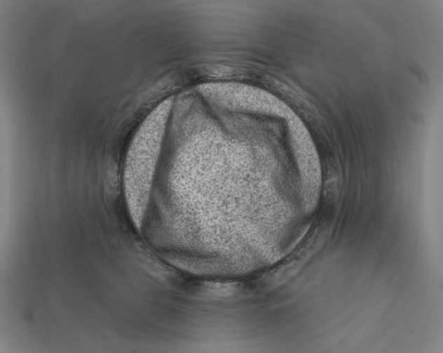 X0000112420469200909111014