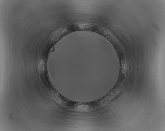 X0000112420471200909111014