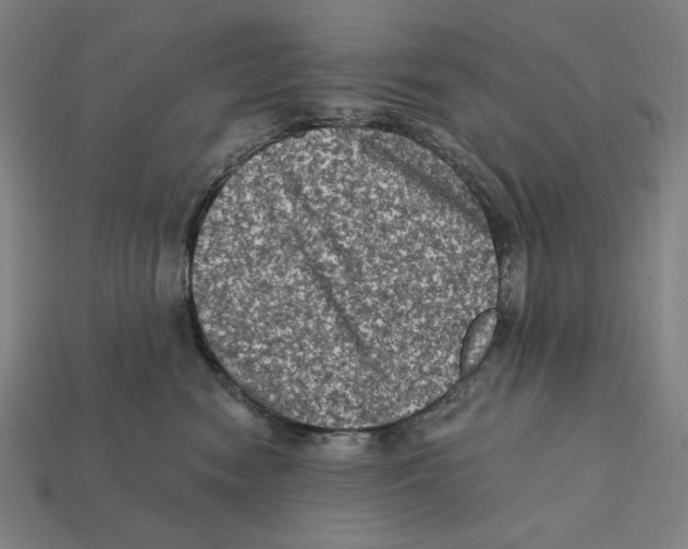 X0000112420474200909111014