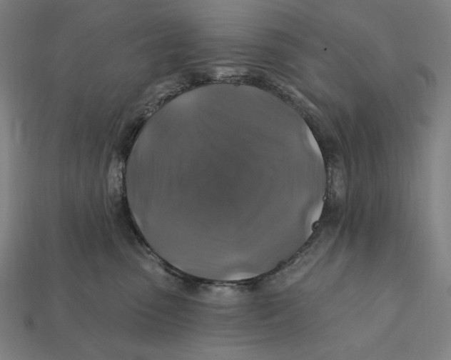 X0000112420475200909111014