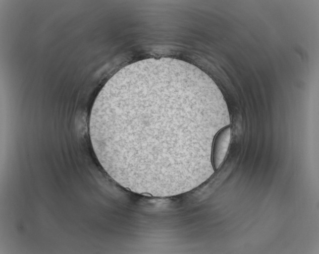 X0000112420478200909111014