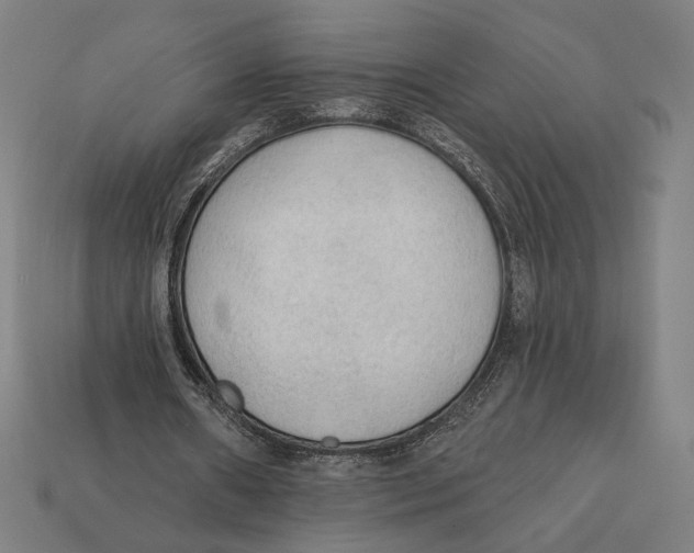 X0000112420482200909111013