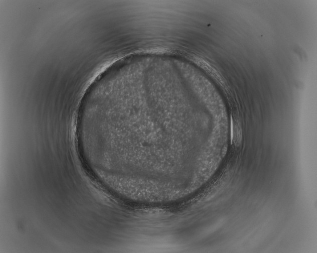 X0000112420483200909111013