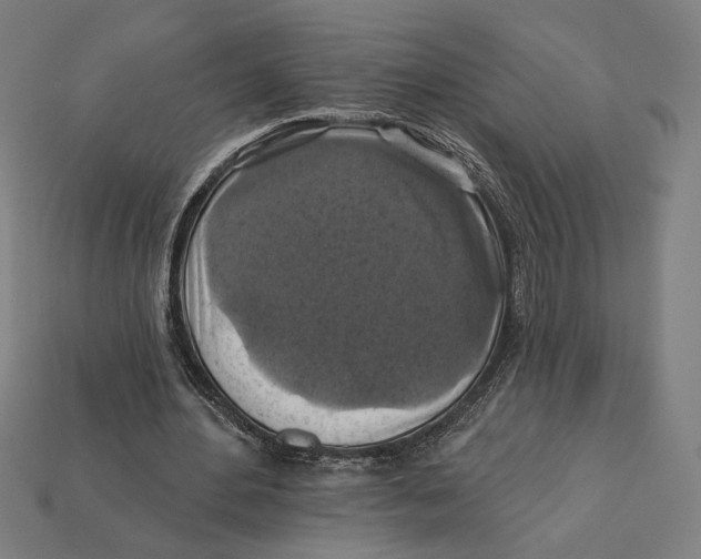 X0000112420484200909111013