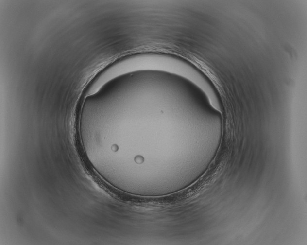 X0000112420485200909111013