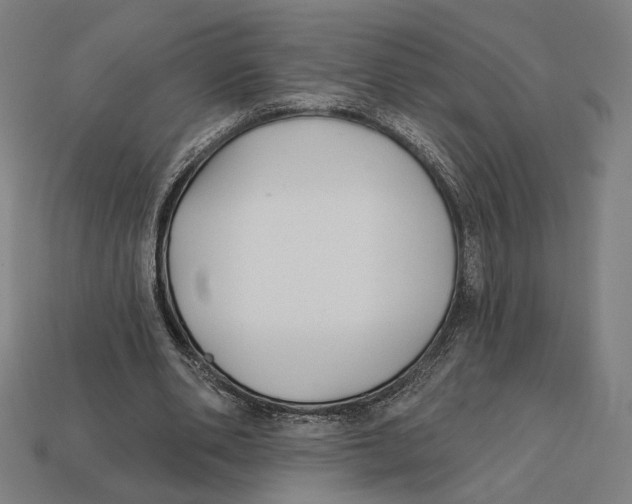 X0000112420486200909111013