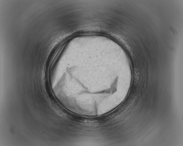 X0000112420487200909111013