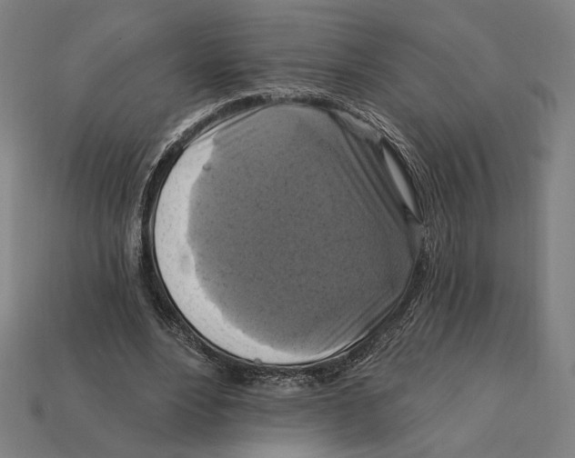 X0000112420488200909111013