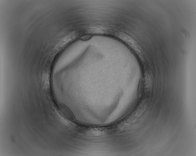 X0000112420489200909111013