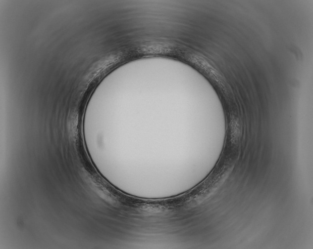 X0000112420490200909111013