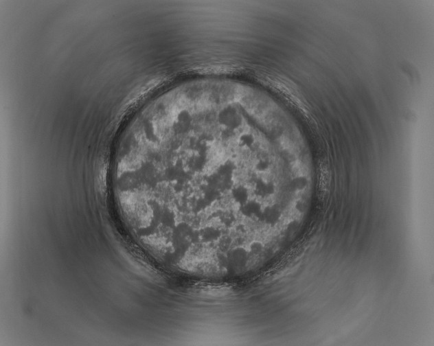 X0000112420491200909111013