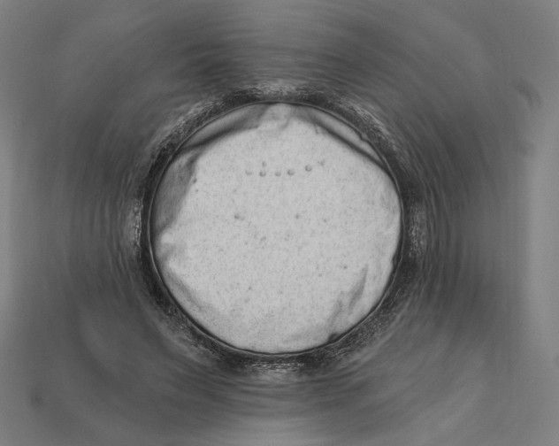 X0000112420495200909111013