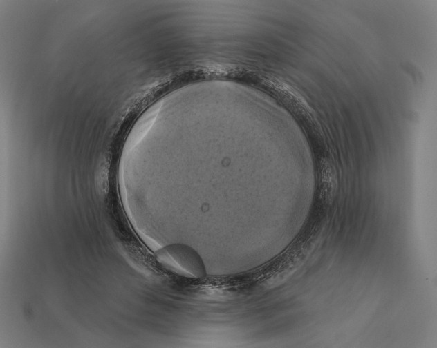 X0000112420496200909111013