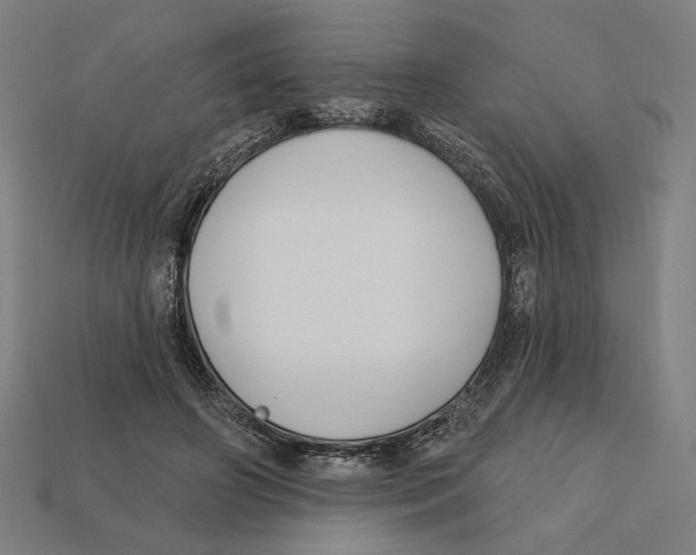 X0000112420498200909111013