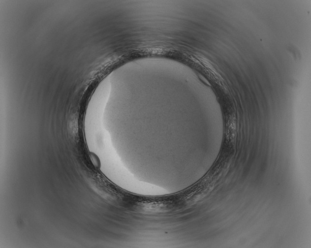 X0000112420500200909111013