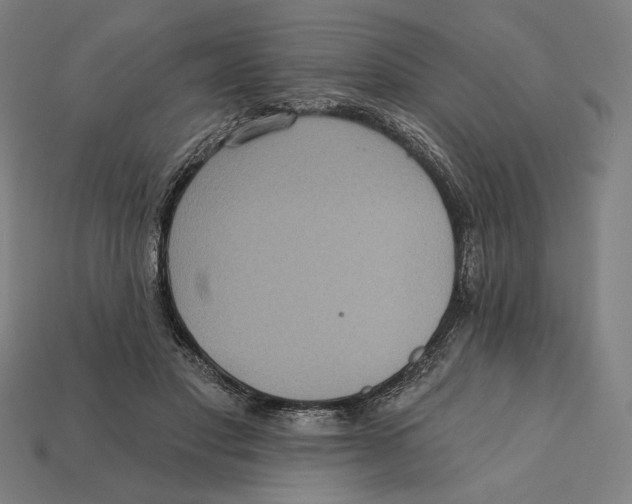 X0000112420501200909111013