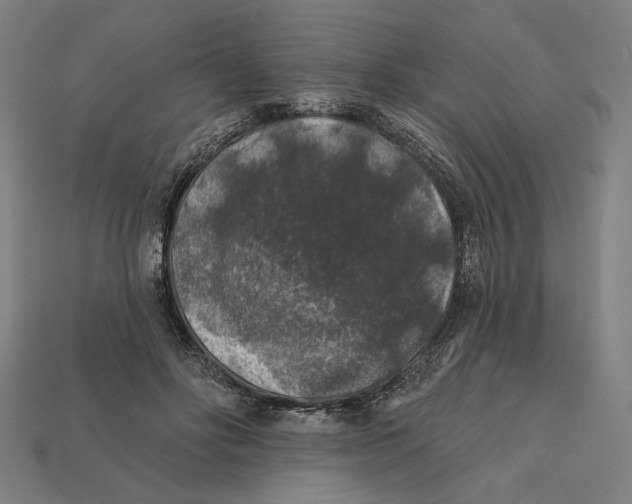 X0000112420502200909111013