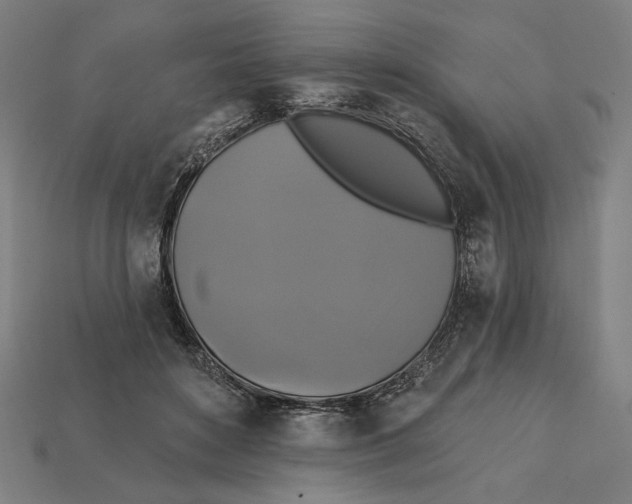 X0000112420504200909111013