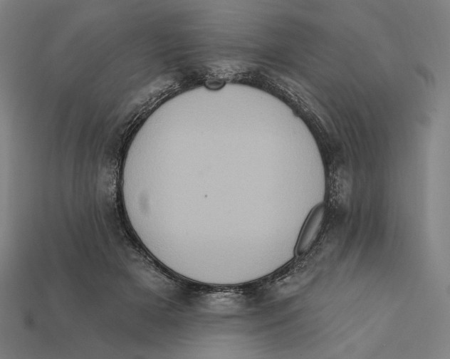 X0000112420505200909111013