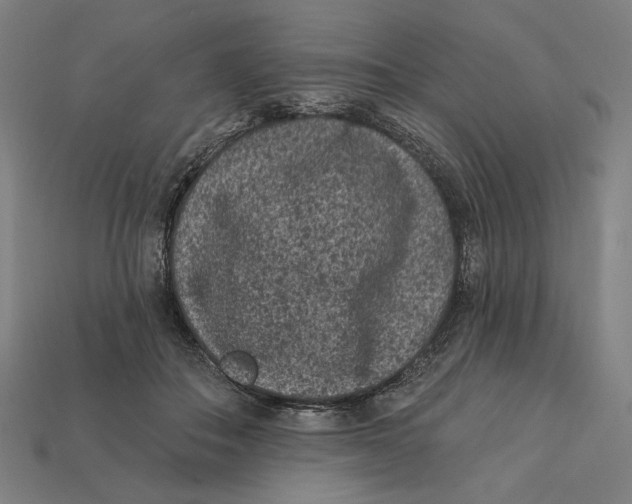 X0000112420506200909111013