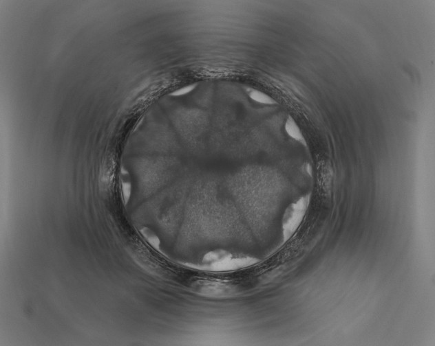 X0000112420507200909111013