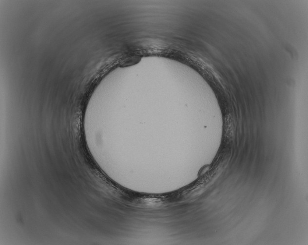 X0000112420509200909111013