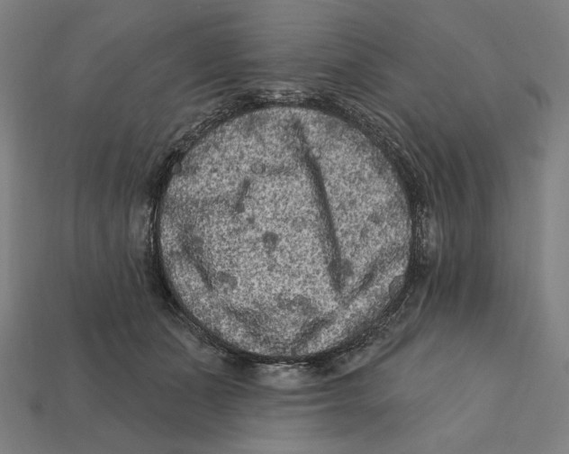 X0000112420511200909111013