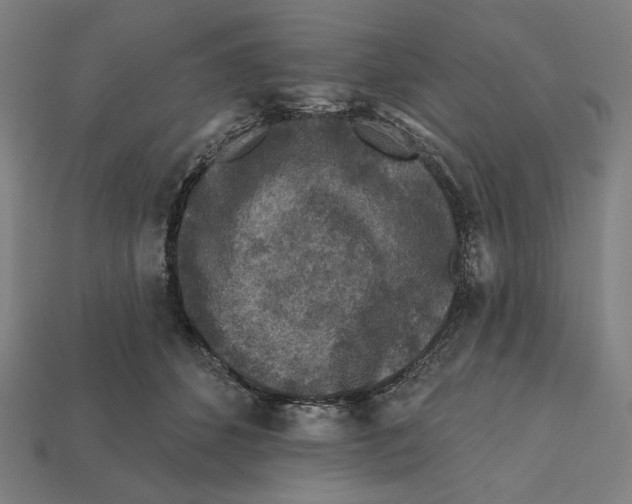 X0000112420512200909111012