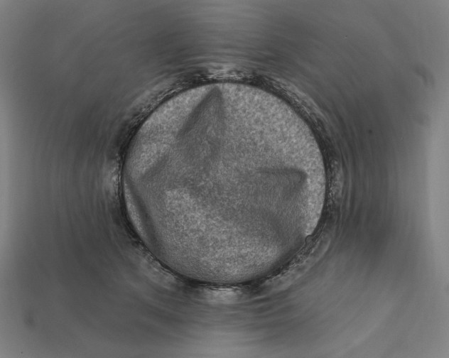 X0000112420513200909111012