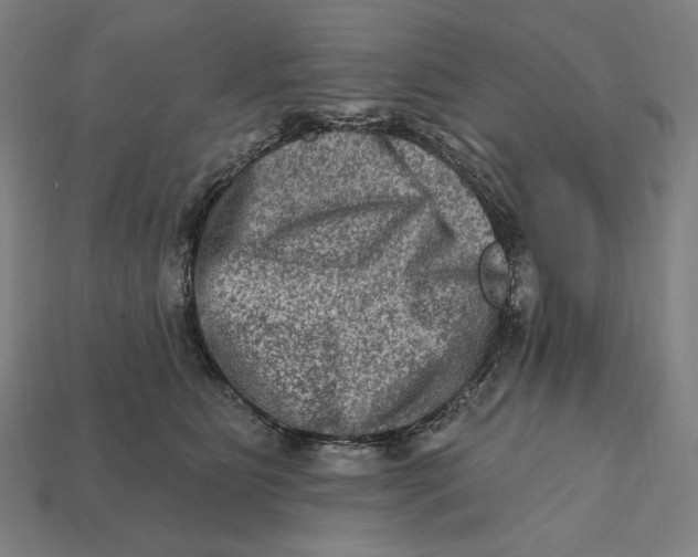 X0000112420515200909111012