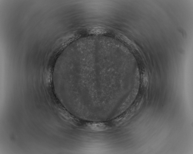 X0000112420517200909111012