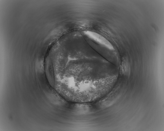 X0000112420520200909111012