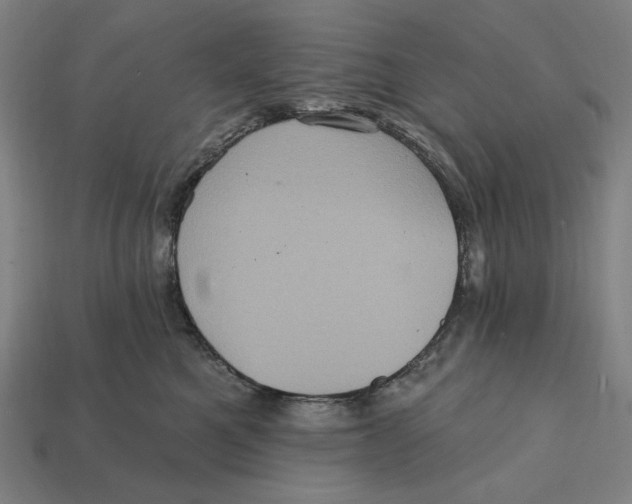 X0000112420521200909111012