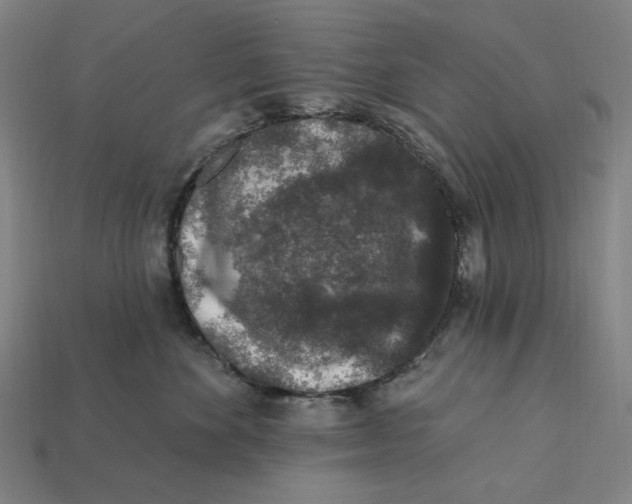 X0000112420524200909111012