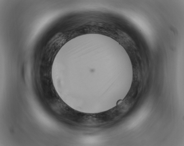 X0000112420526200909111012