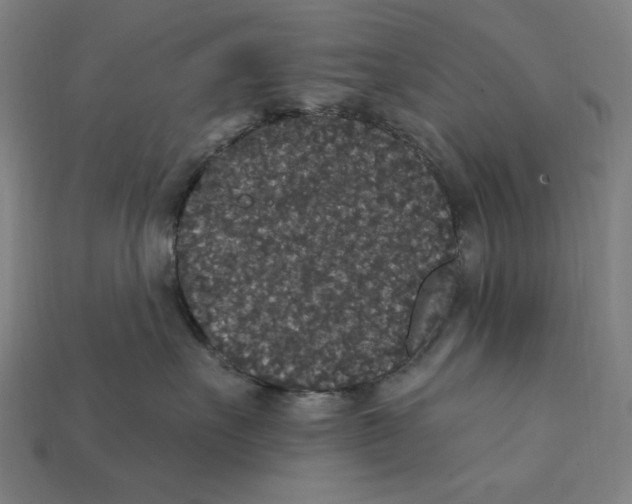 X0000112420527200909111012