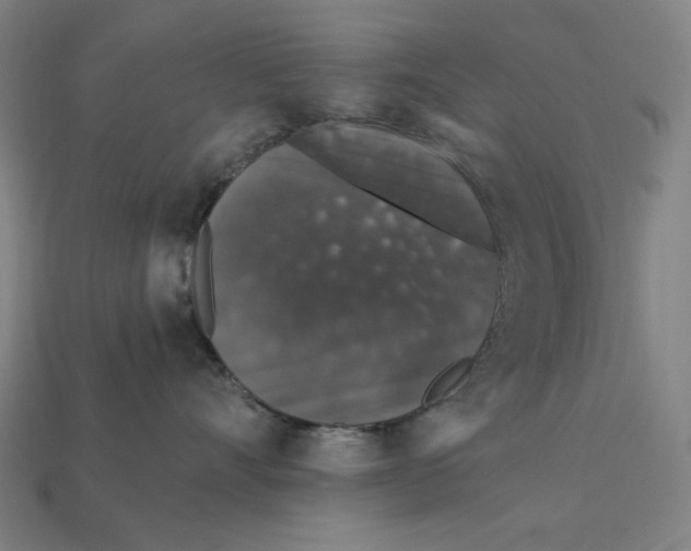 X0000112420528200909111012