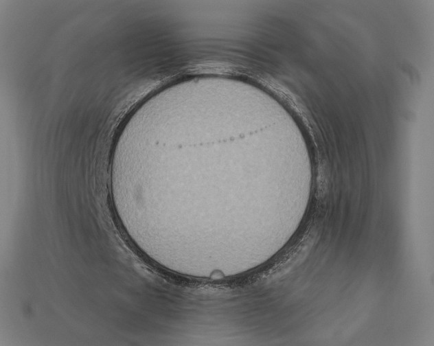 X0000112420529200909111012