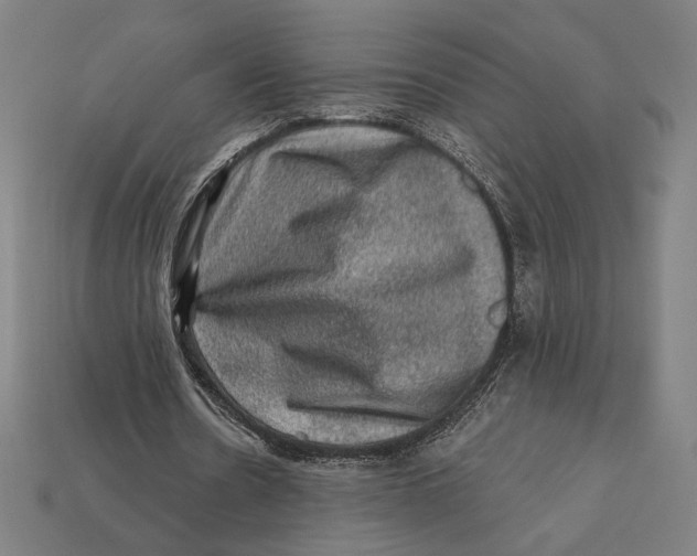 X0000112420530200909111012