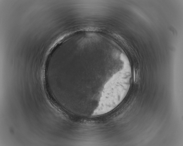 X0000112420531200909111012