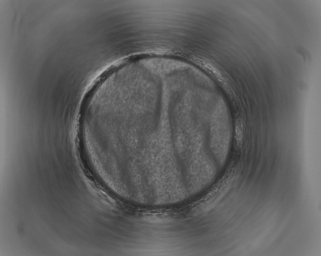 X0000112420532200909111012