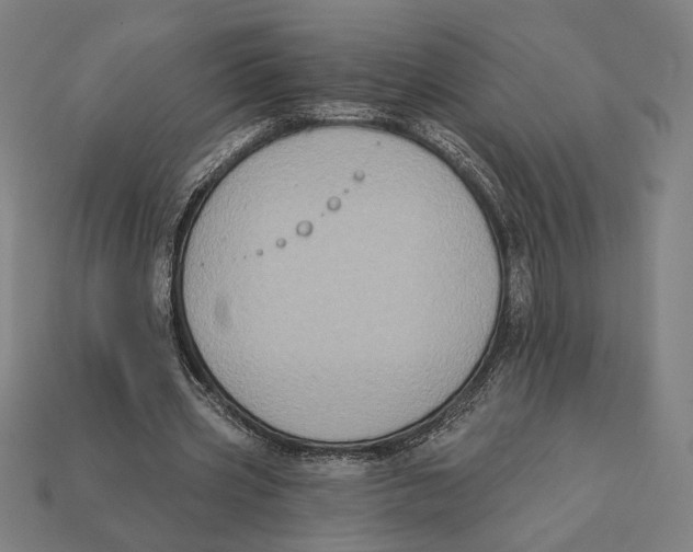 X0000112420533200909111012