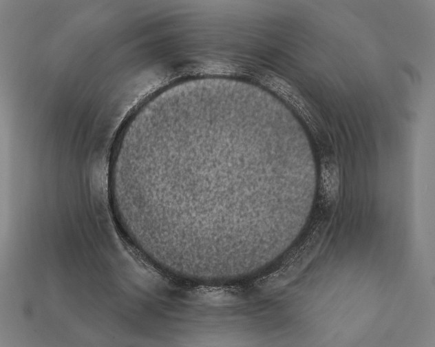 X0000112420534200909111012