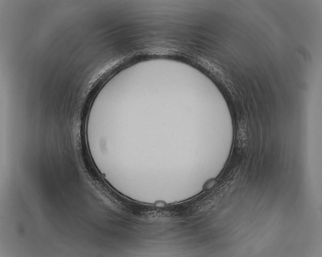 X0000112420535200909111012