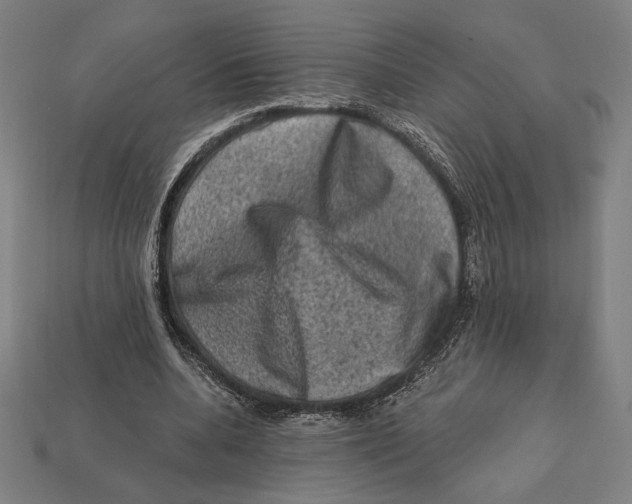 X0000112420536200909111012