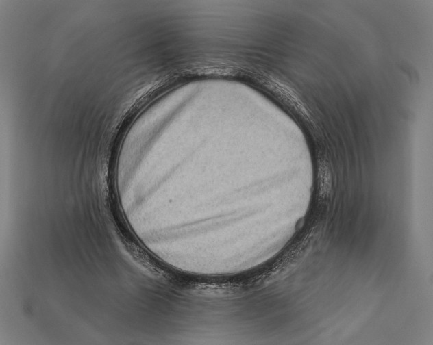 X0000112420538200909111012