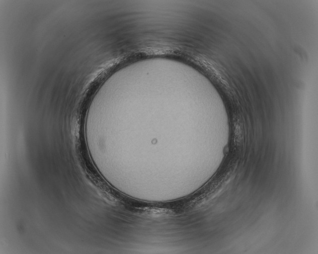 X0000112420539200909111012