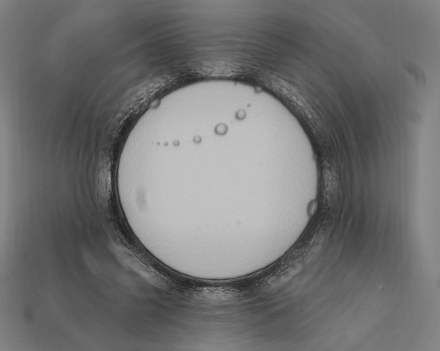 X0000112420541200909111012