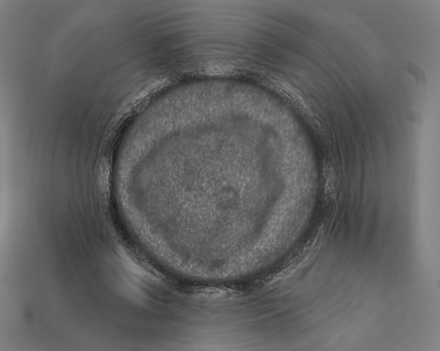 X0000112420542200909111012